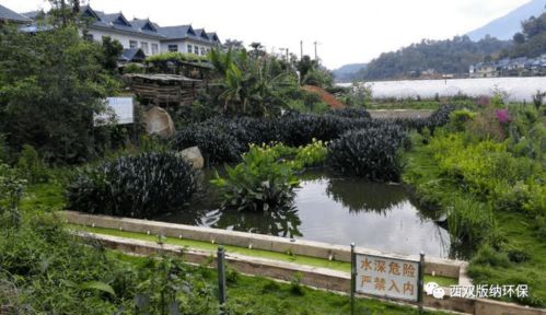 勐海縣 以農(nóng)村污水治理為筆，繪就美麗鄉(xiāng)村新畫卷